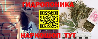apvp Кунгур