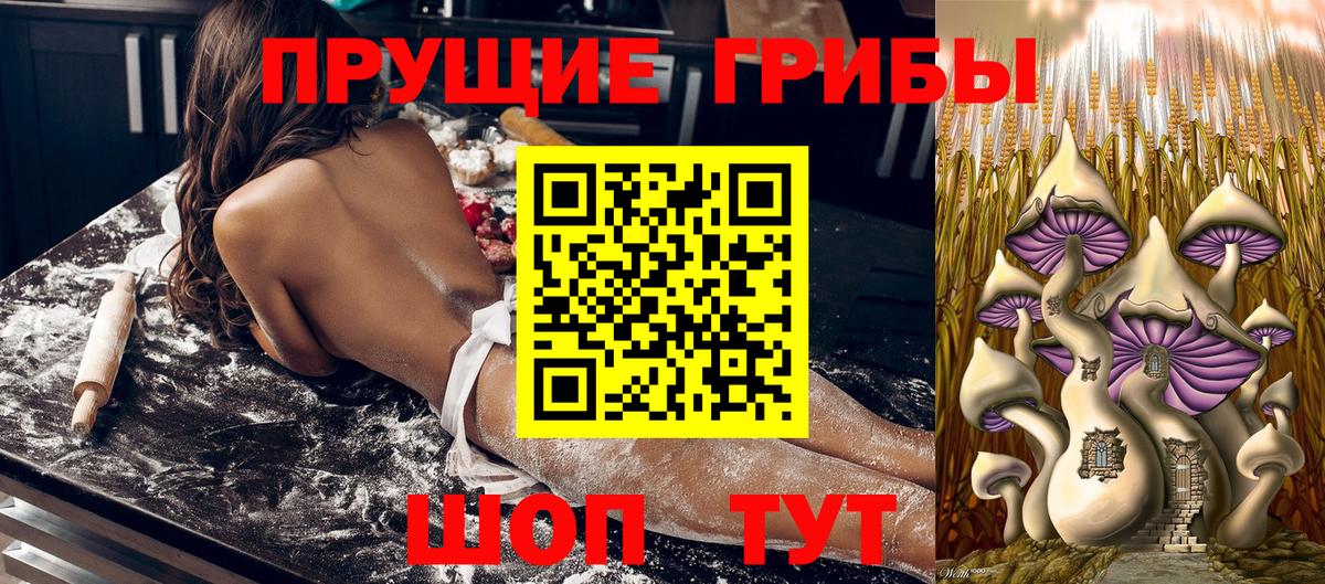 Галлюциногенные грибы мицелий  Вход с VPN  Псилоцибиновые грибы MAGIC MUSHROOMS  Шебекино 